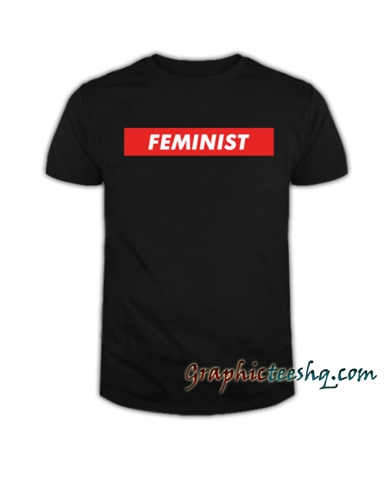 Feminist tee shirt for adult men and women. t feels soft