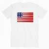 Baseball American Flag tee shirt